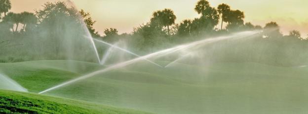 shutterstock1416153a