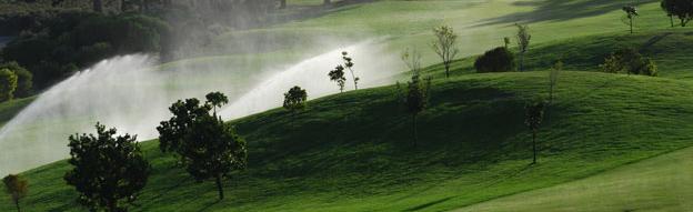 shutterstock293848062